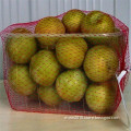 extruded tubular mesh bag for fruit